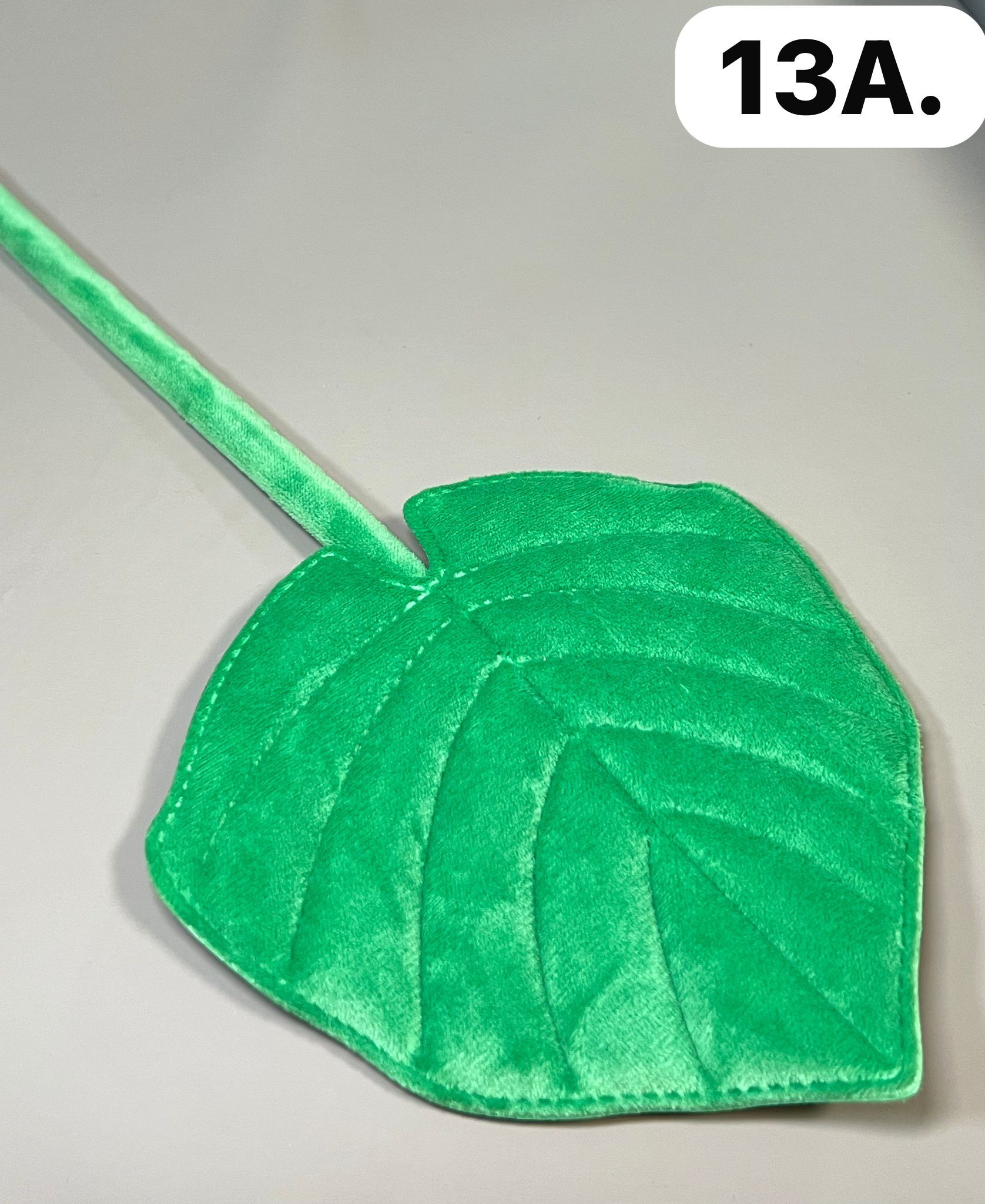 WhatsApp Image 2026-03-28 at 10.01.41 AM