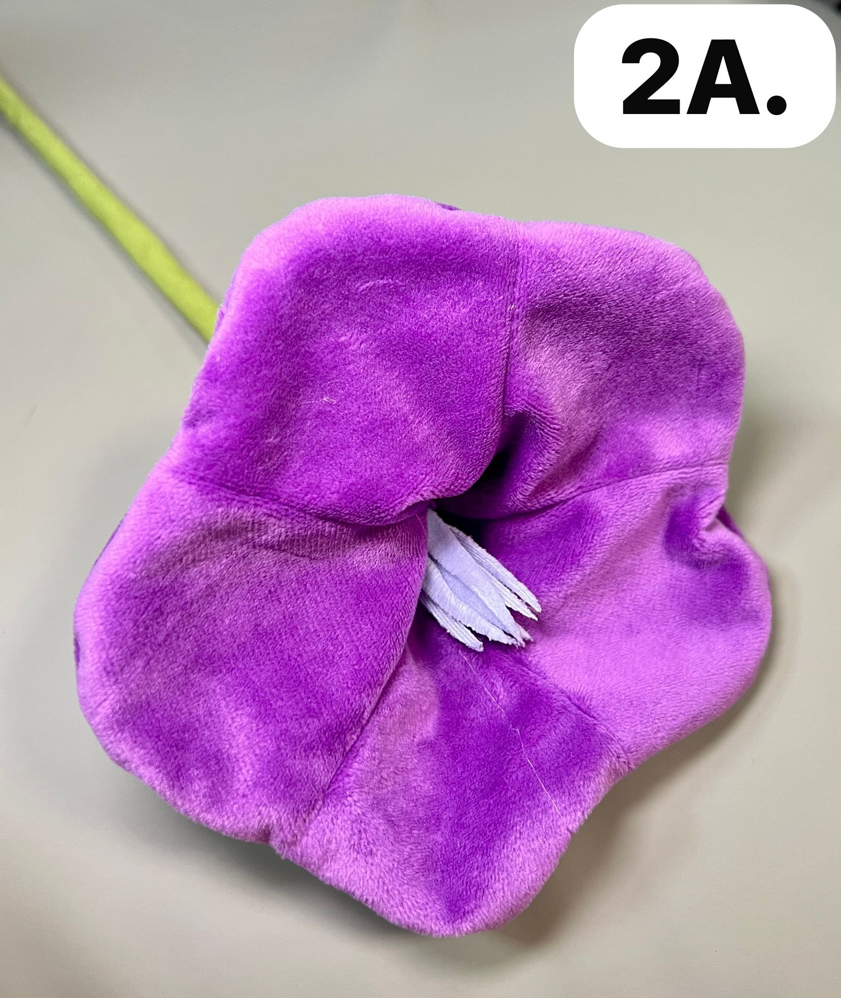 WhatsApp Image 2026-03-28 at 9.55.37 AM