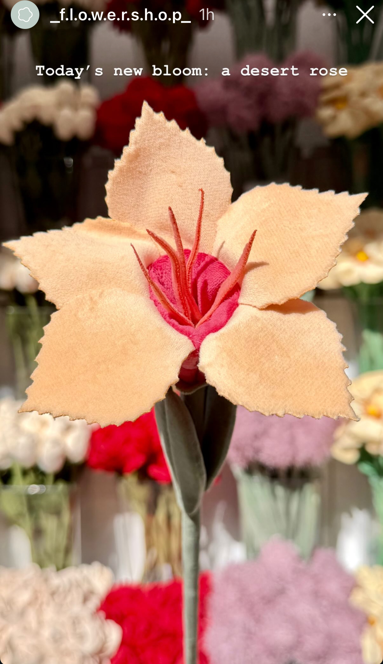 image_AF4313A5-5A0E-43FB-87CD-711AB114C35E_1775143937