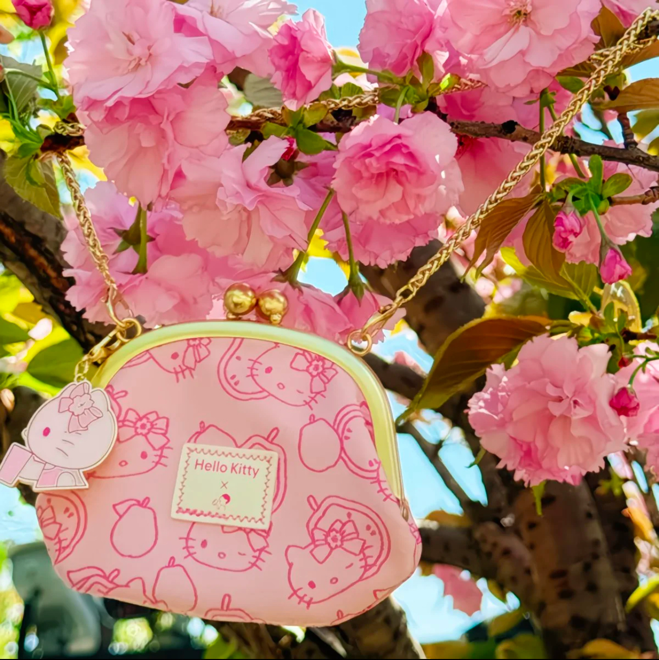 image_69A57E94-D9E9-4FC0-B7CE-B4C36C461D04_1775577894