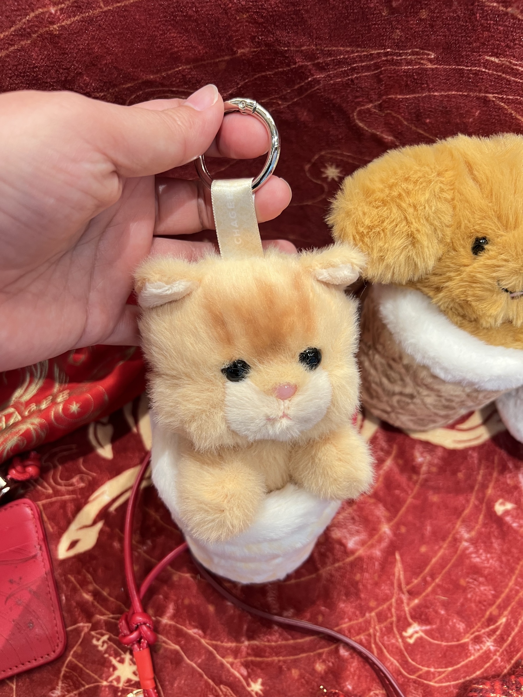 image_DD2C8458-7383-4124-9A3B-AC546A814BFA_1775656176