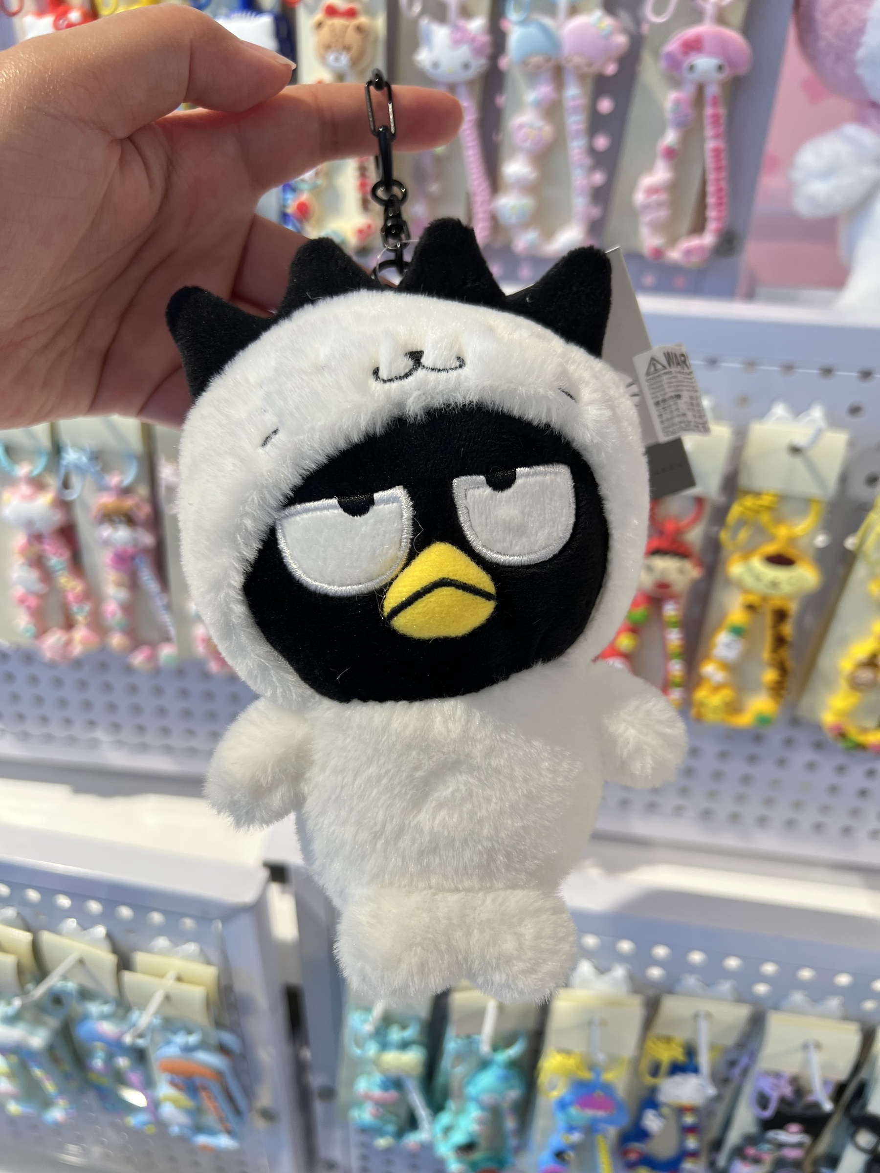 image_6B2DE287-06E3-4A7B-9B5B-F6F39B2991E0_1775824793