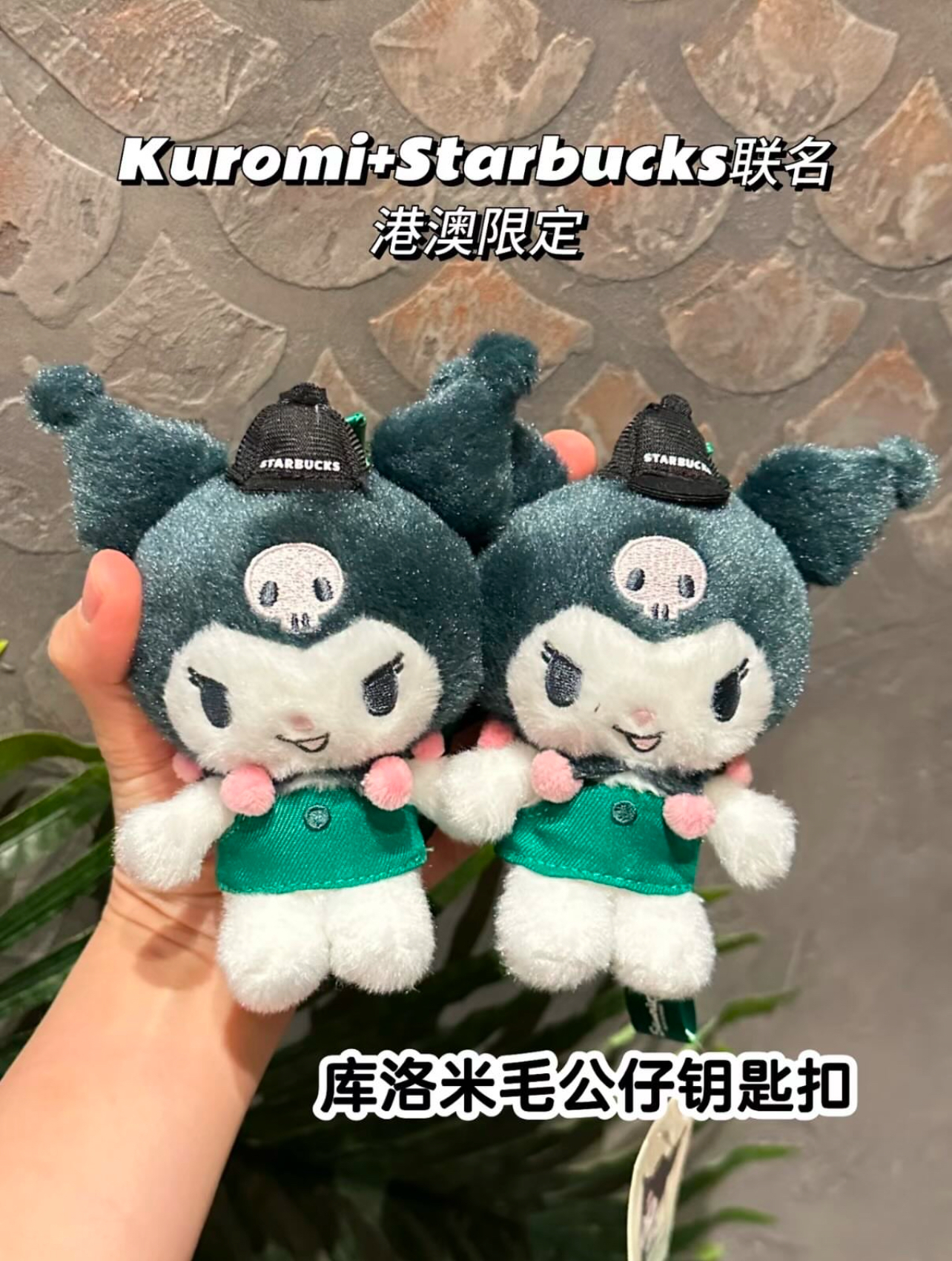 image_2784FB0D-B3C3-4184-8BF6-F94CAFEADDF4_1779339830