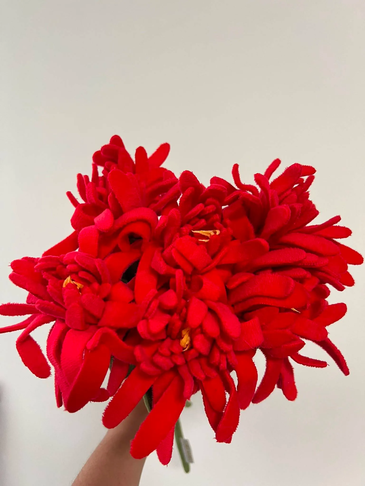 authentic-cj-hendry-6-stems-plush-bouquet-red-chrysanthemum