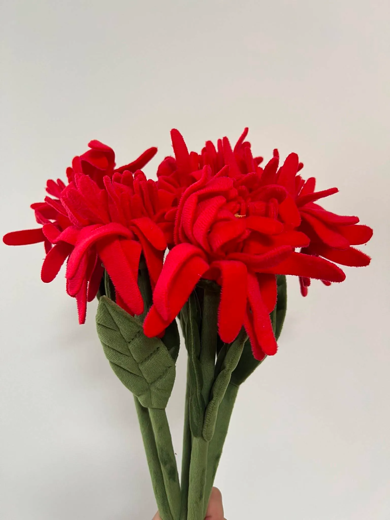 cj-hendry-flower-market-red-chrysanthemum-plush-bundle