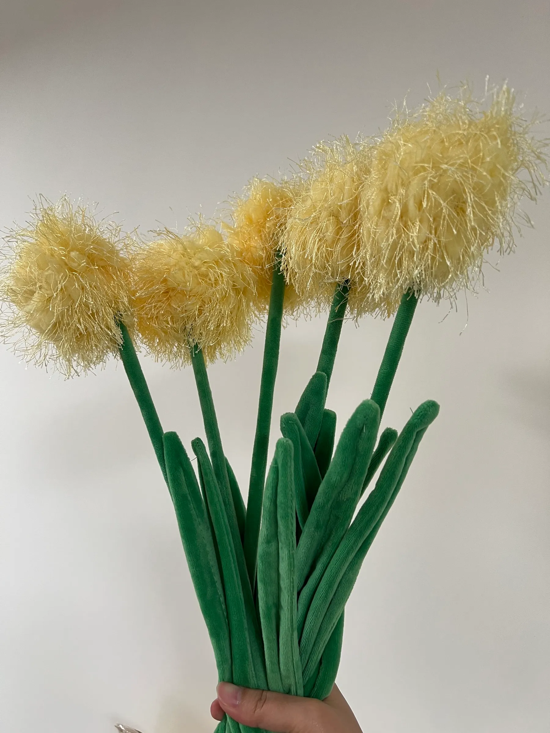 cj-hendry-yellow-alliums-5-stems-bundle