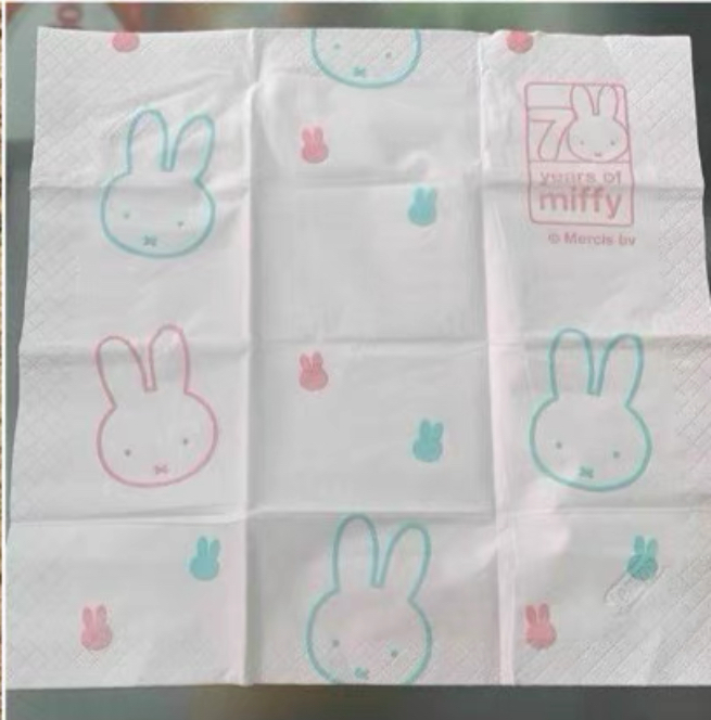 image_551698F8-7935-46D7-AF77-DD9246E040A0_1756011754