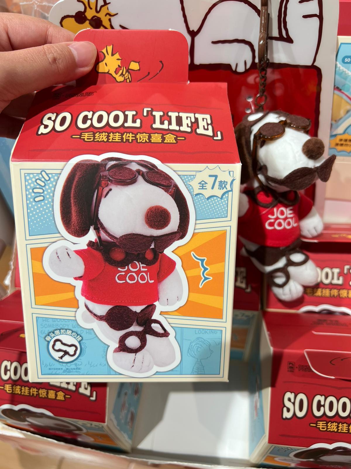 WhatsApp Image 2025-08-31 at 3.49.07 PM