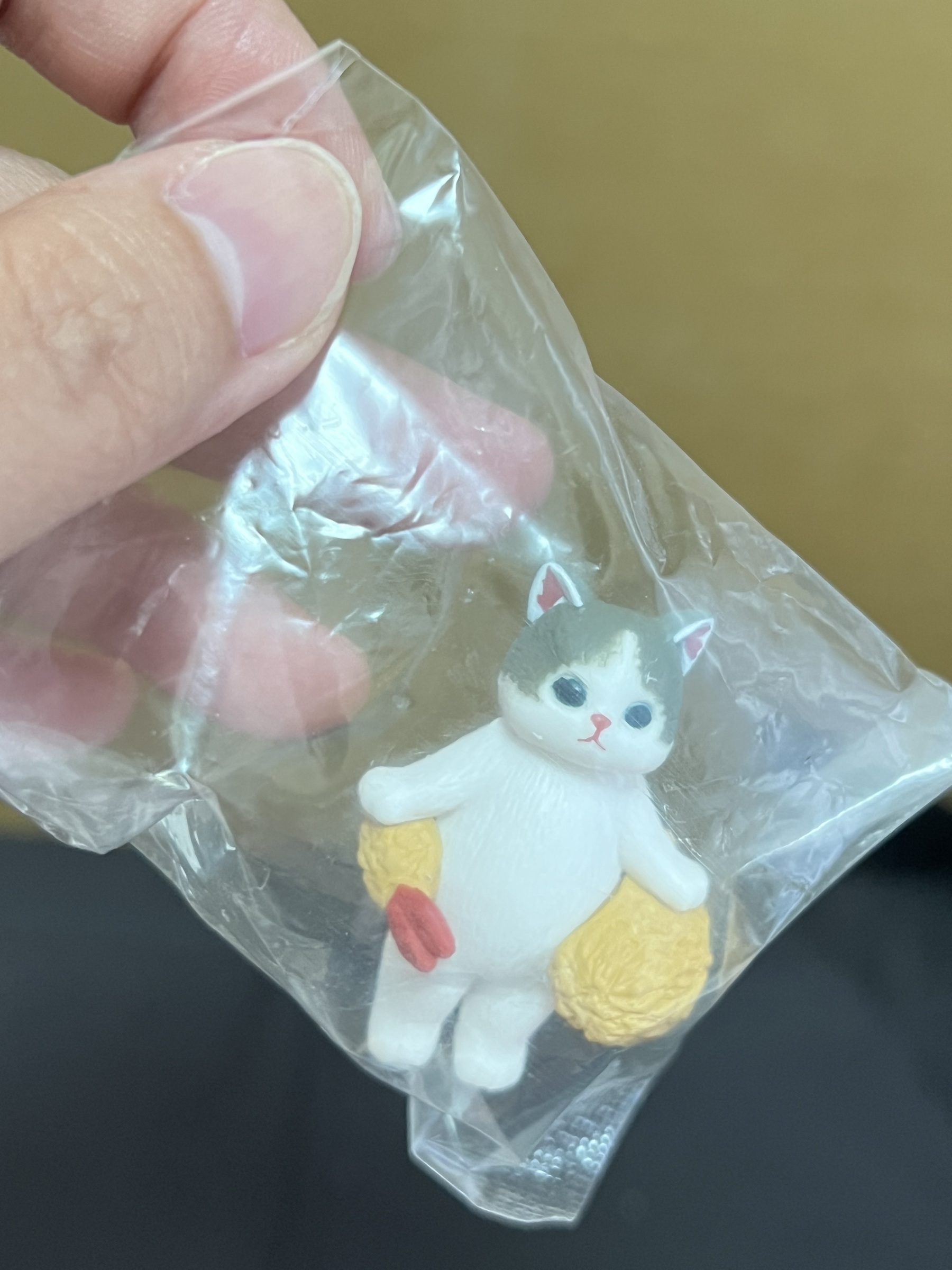 image_7C7CB61F-0D24-411A-96CD-F852FA0C2B78_1757324158