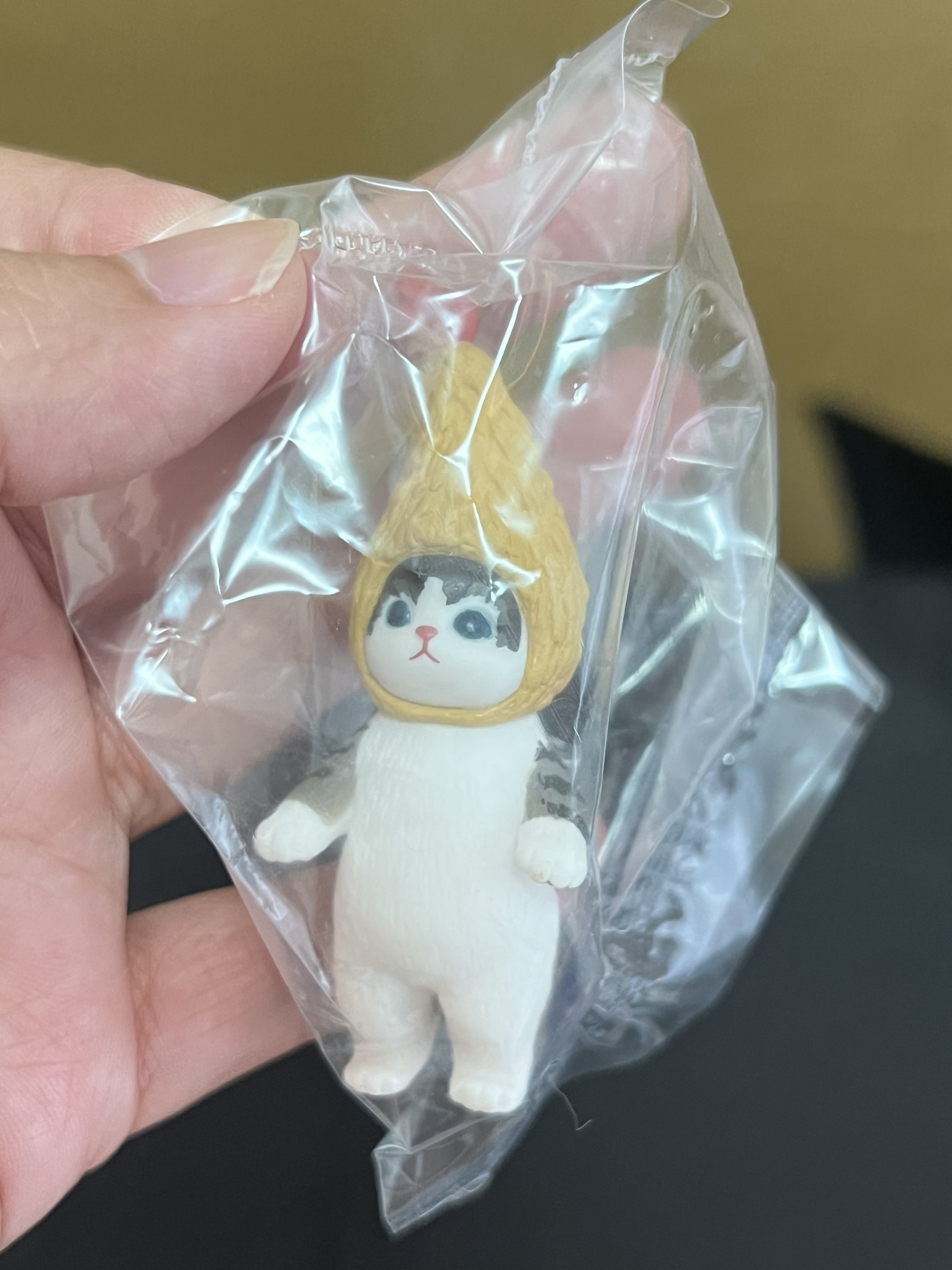 image_A41AA694-7123-4517-871E-03482D173CF1_1757324158