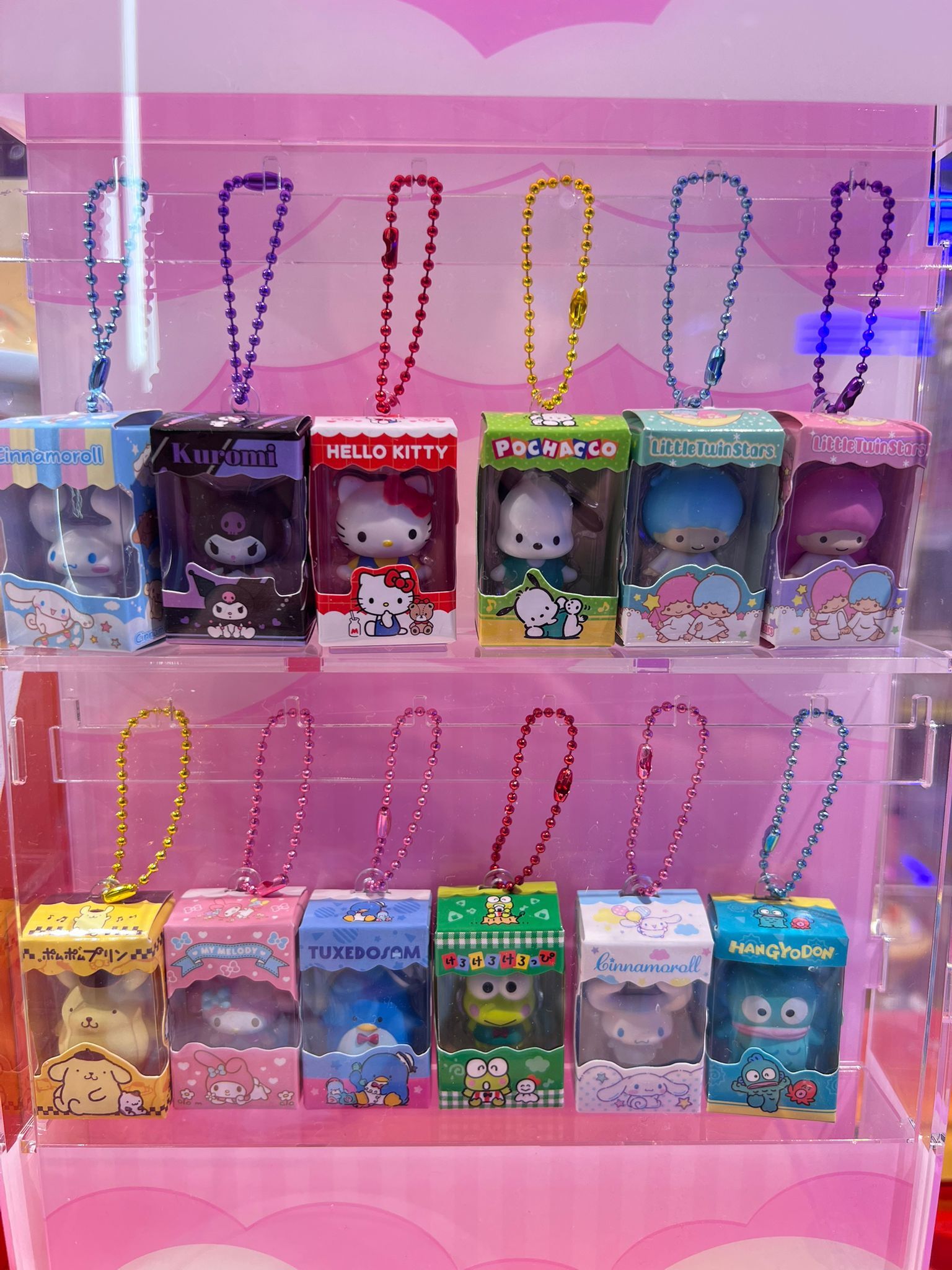 WhatsApp Image 2025-09-27 at 11.13.15 AM