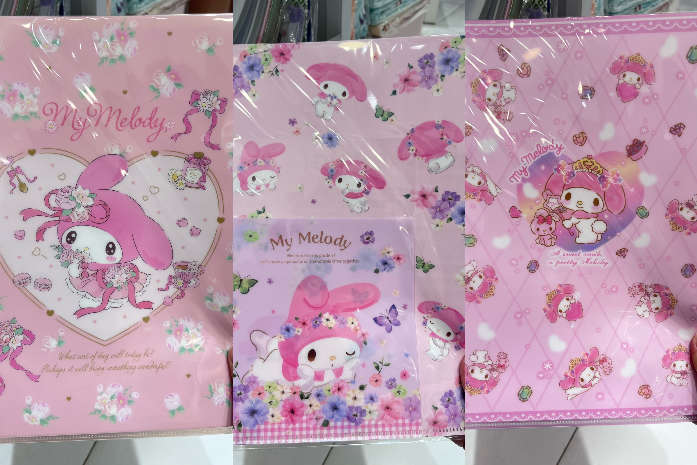 image_650D3B02-EB23-421C-92D3-266FD2C5D545_1759481704