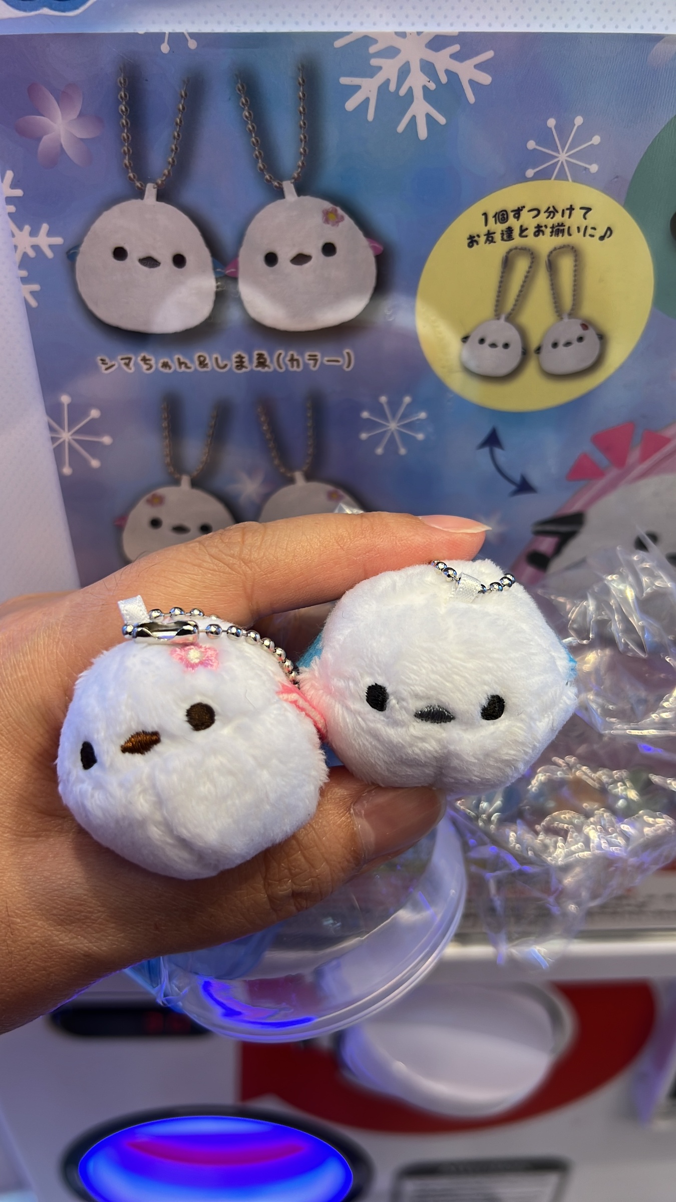 image_10649779-3021-4CF9-BAE1-3D81013EBB55_1759635340