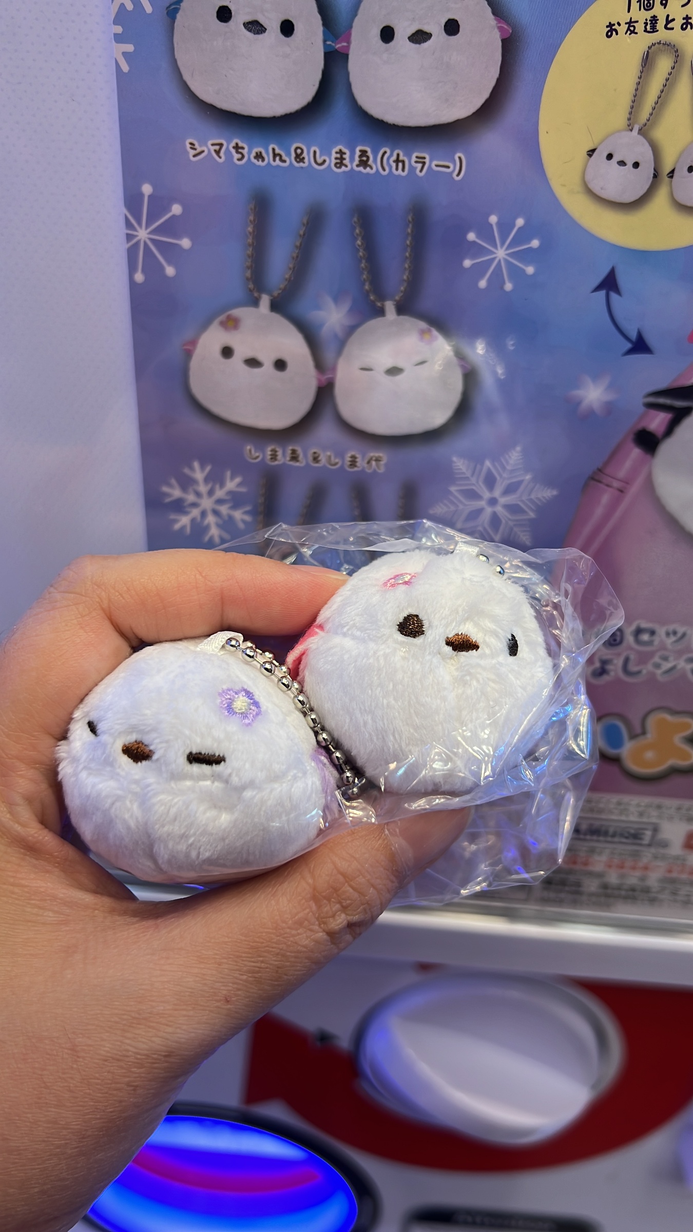 image_0470116F-BCBF-490E-AABC-63547E5BE8E2_1759635340