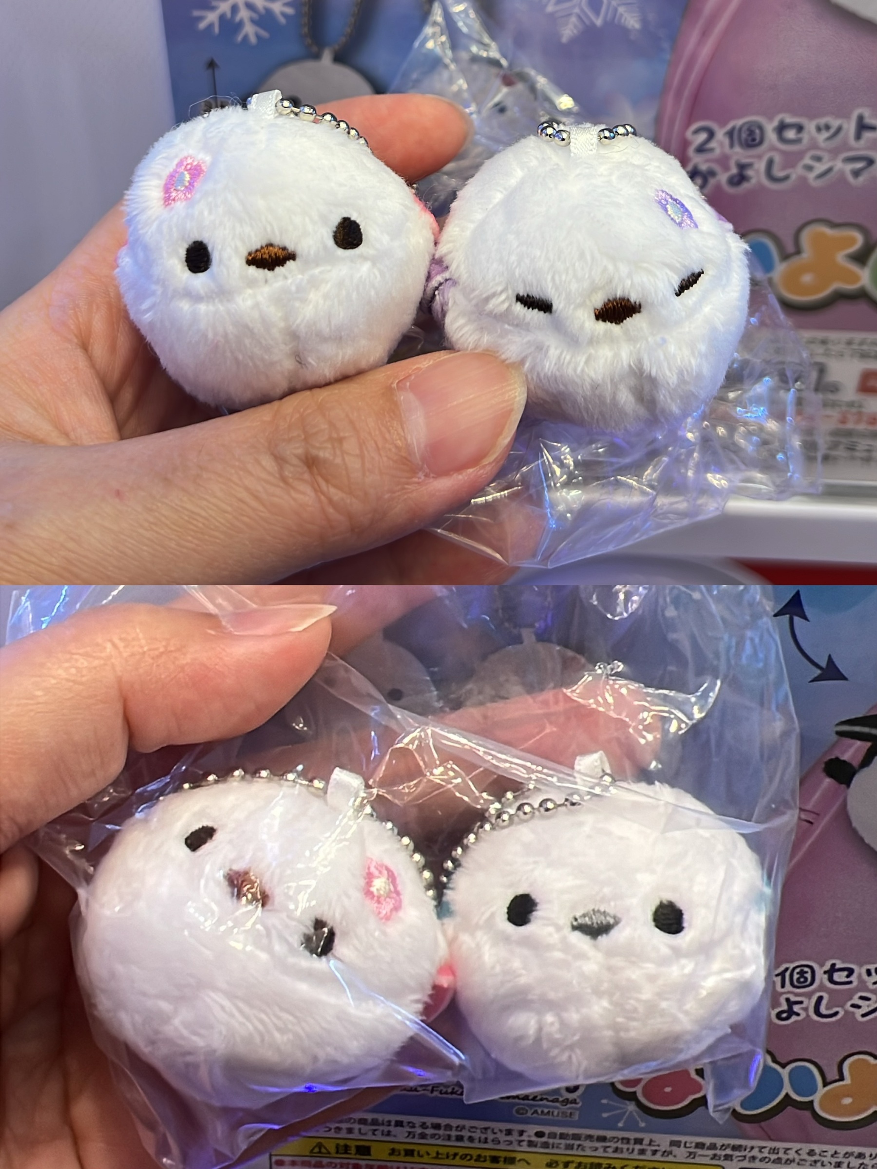 image_7F288FCA-4E01-4434-80CC-621E360BBE38_1759635340