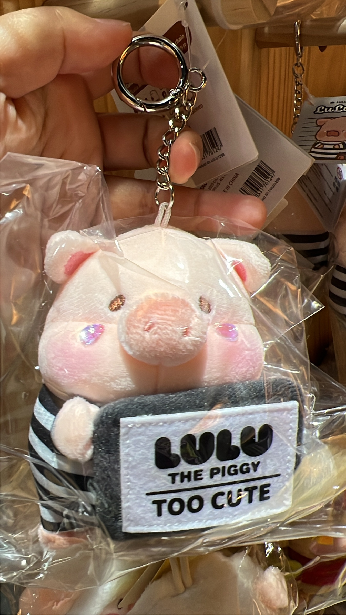 image_773411CB-576D-4DDE-AFDA-9A200BE92E0F_1759900208