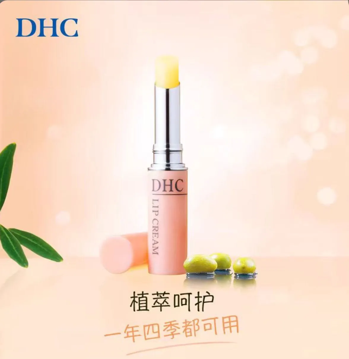 WhatsApp Image 2025-11-05 at 3.23.22 PM