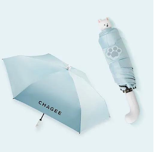 WhatsApp Image 2025-11-12 at 10.23.37 PM