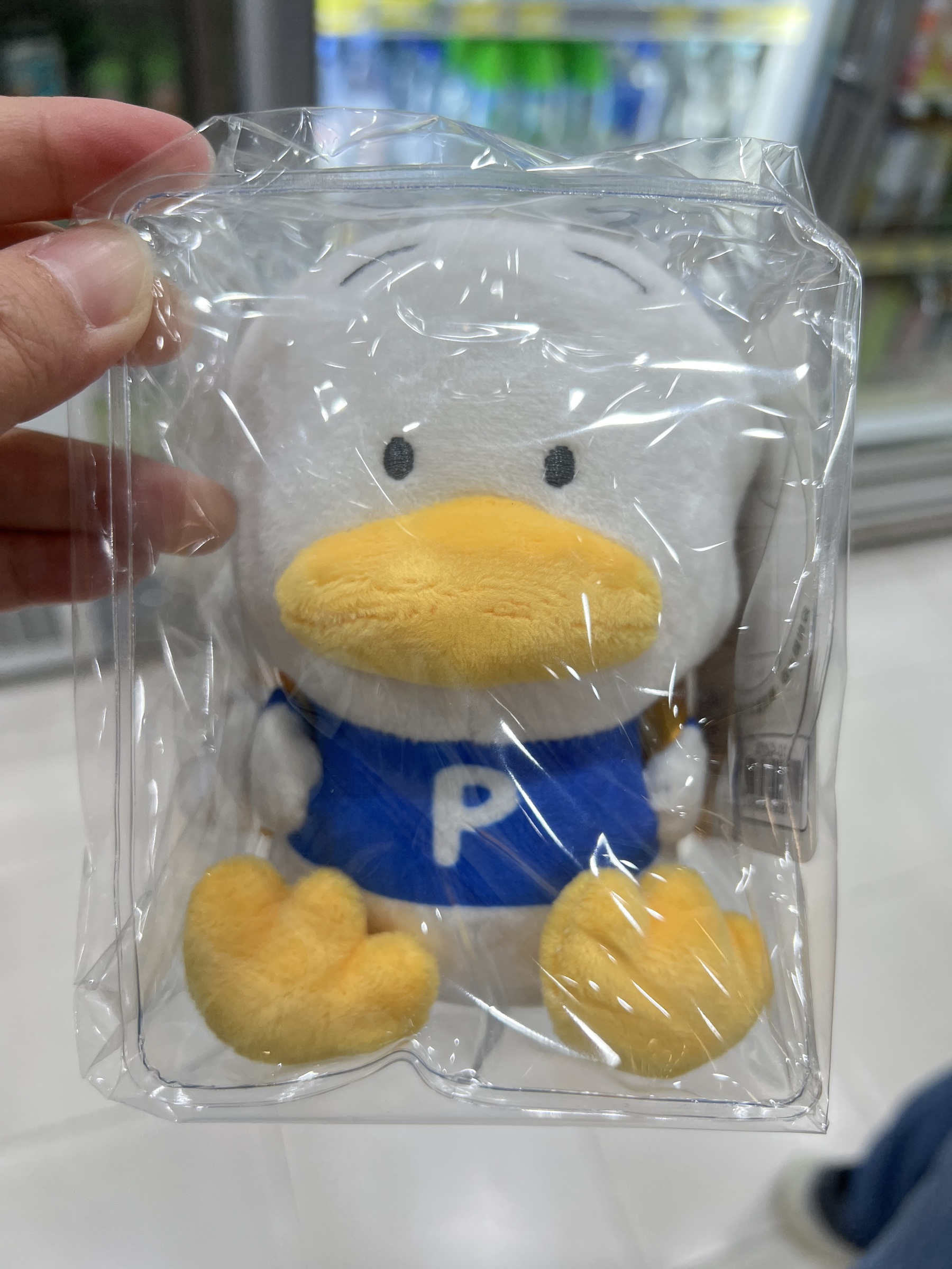 image_824C9520-7656-472C-AFDE-965673B256F7_1763112477