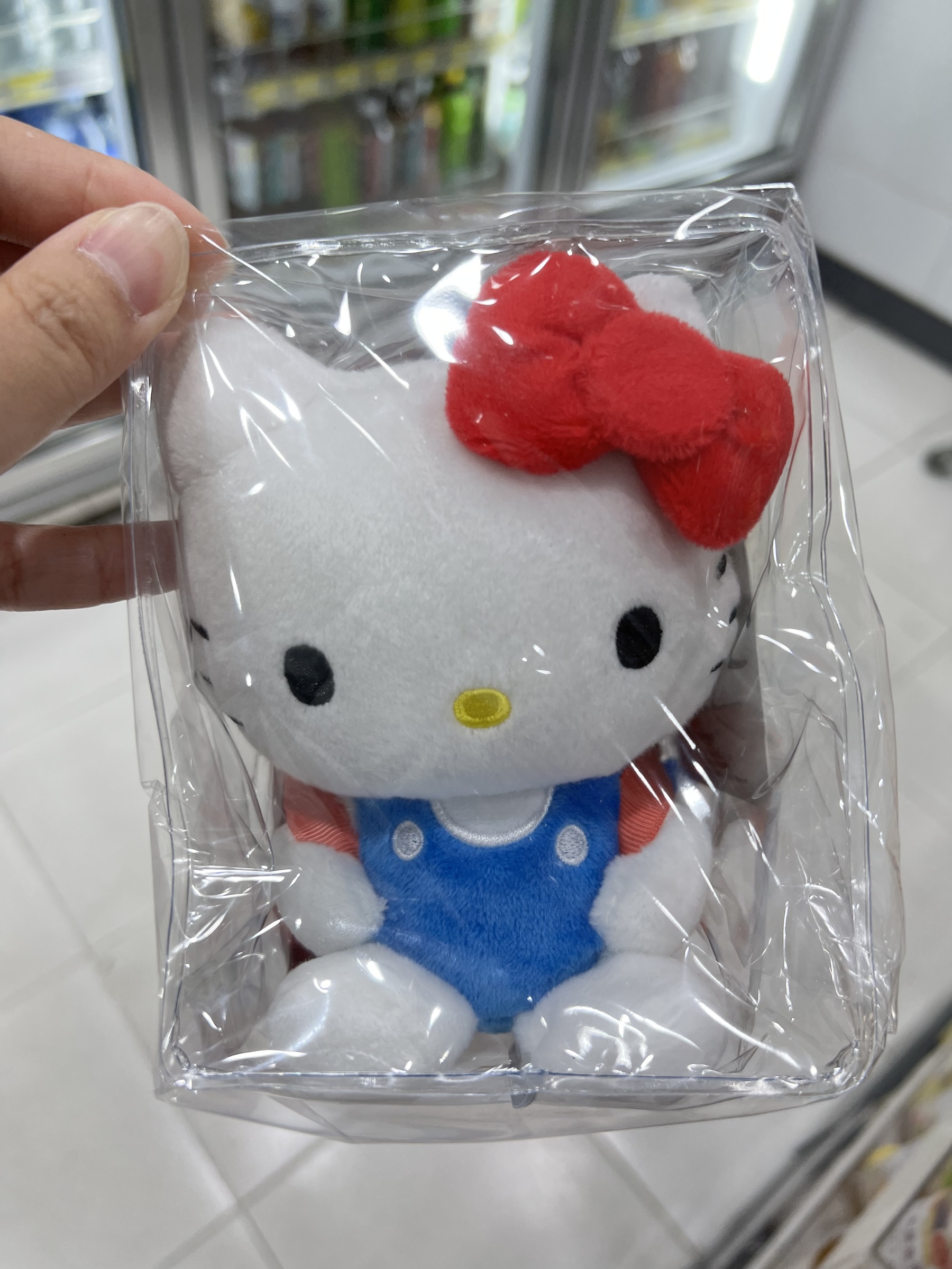 image_B0D033F7-069C-4B7C-A6E0-4202B64431C9_1763112478