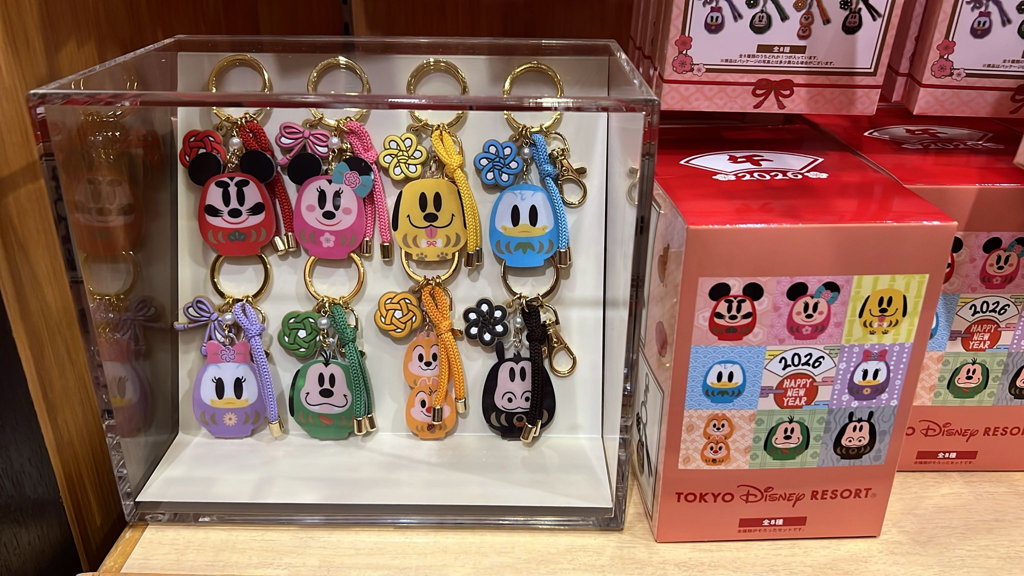 WhatsApp Image 2025-12-06 at 11.51.36 AM