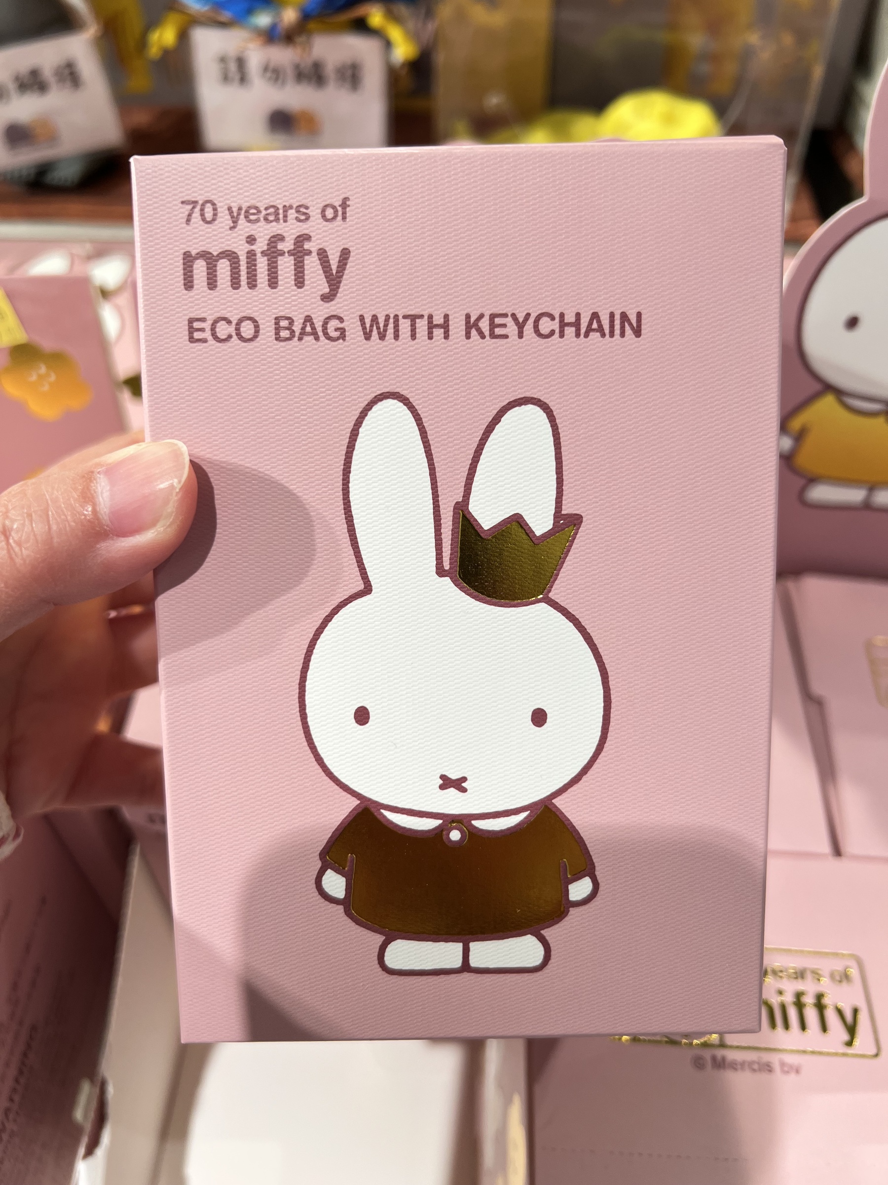 image_BD05D961-9CFD-41C7-B214-EE438216580A_1767688635