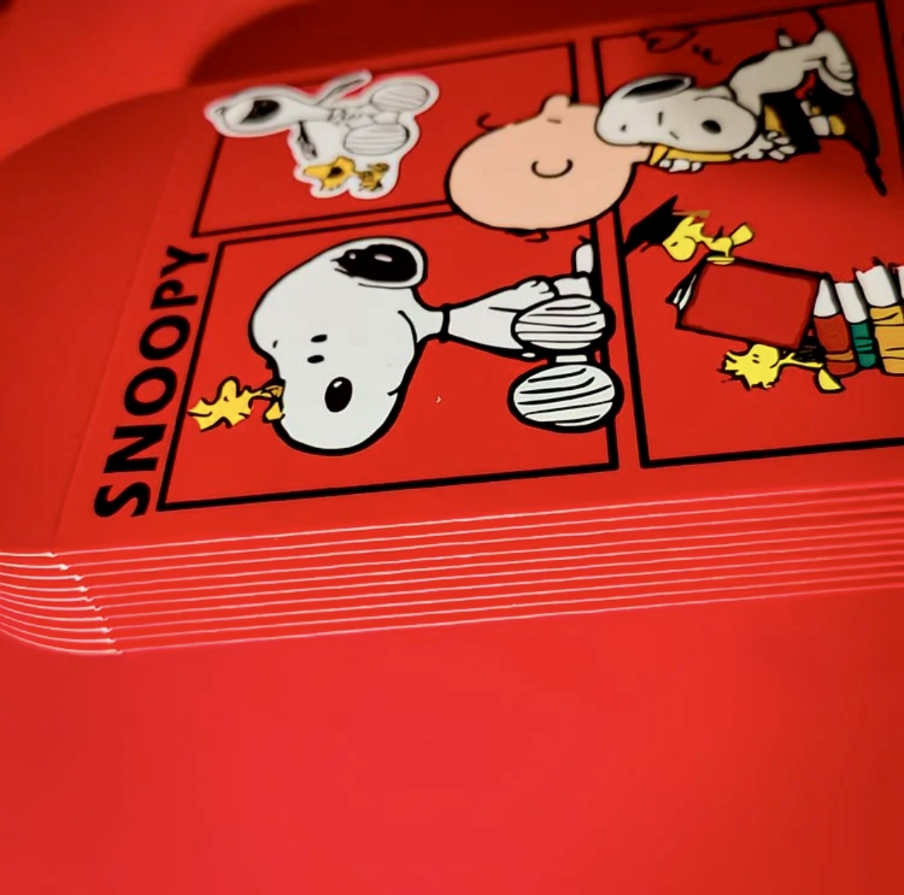 image_9AC208C7-53A9-47A1-B955-AAFD55291FA3_1768021525