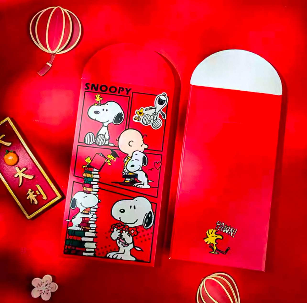 image_6734C628-FF4A-4717-A75E-885180F8E9E9_1768021525