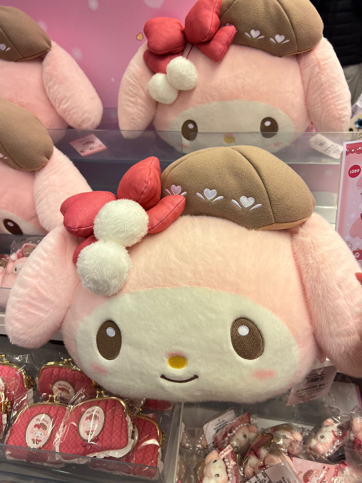 WhatsApp Image 2026-01-10 at 5.49.54 PM