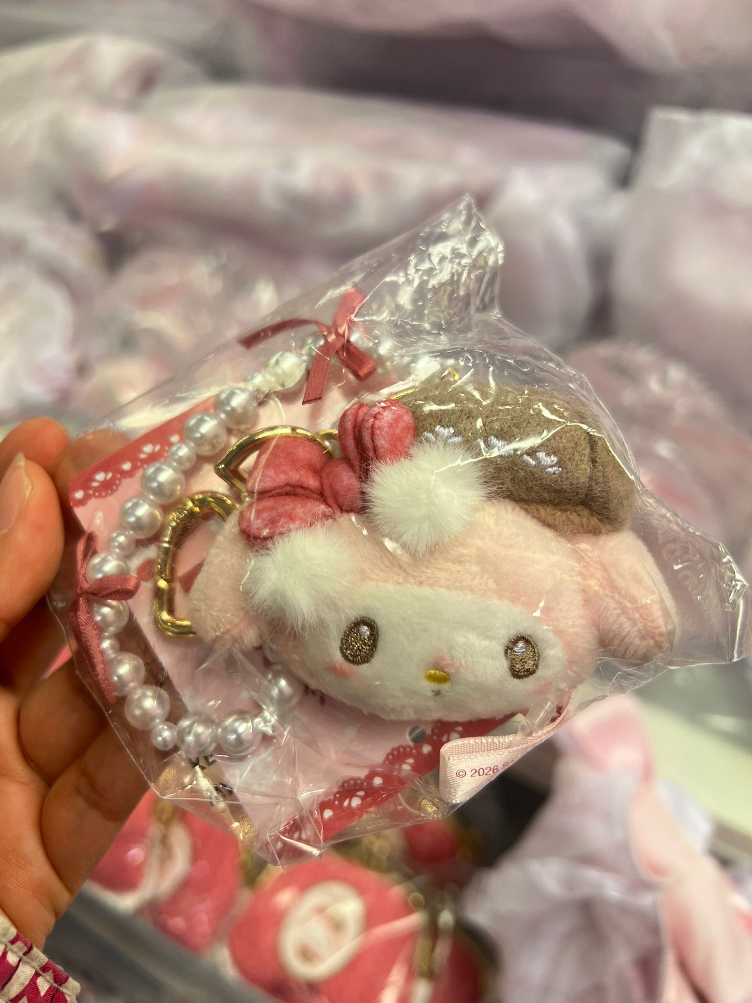 WhatsApp Image 2026-01-11 at 12.58.57 PM