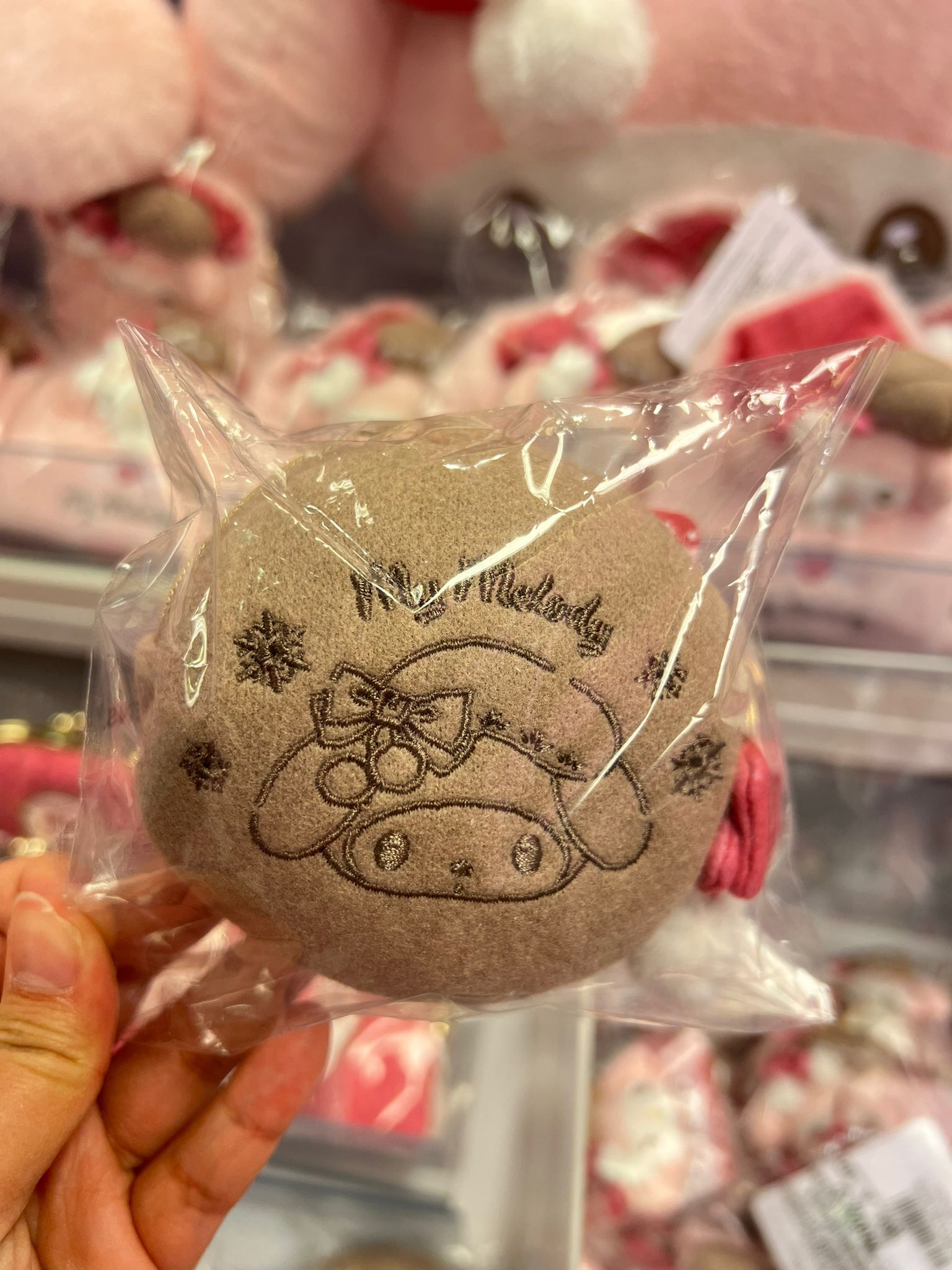 WhatsApp Image 2026-01-11 at 1.07.58 PM