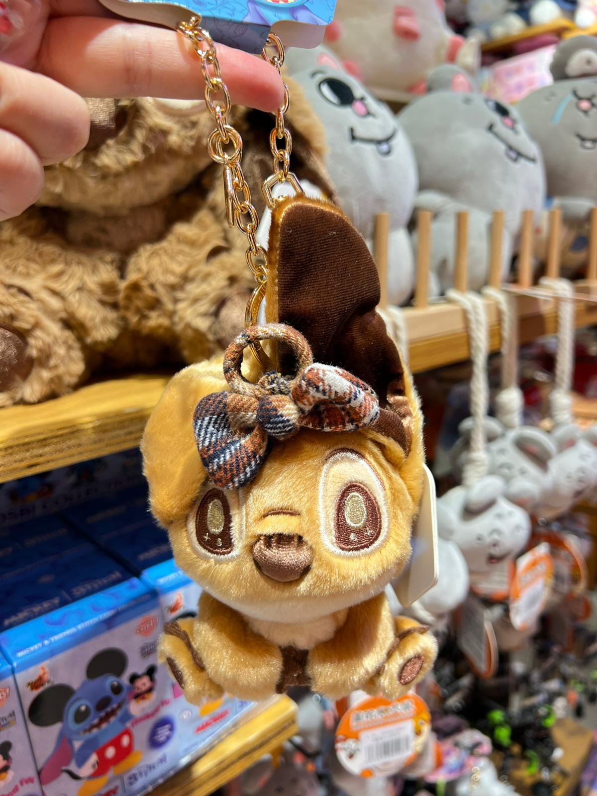 WhatsApp Image 2026-01-13 at 4.54.51 PM