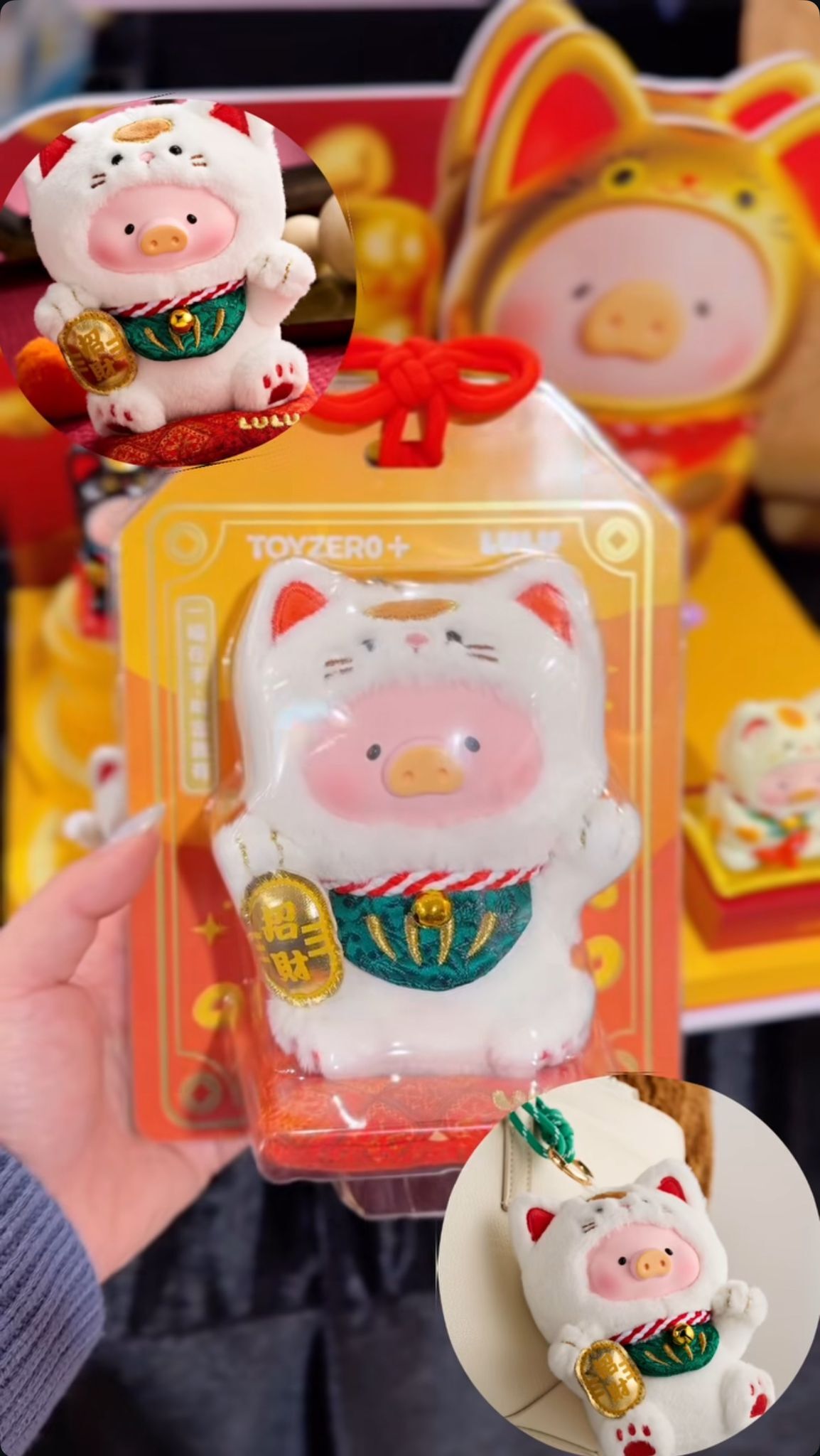 WhatsApp Image 2026-01-16 at 10.09.04 PM