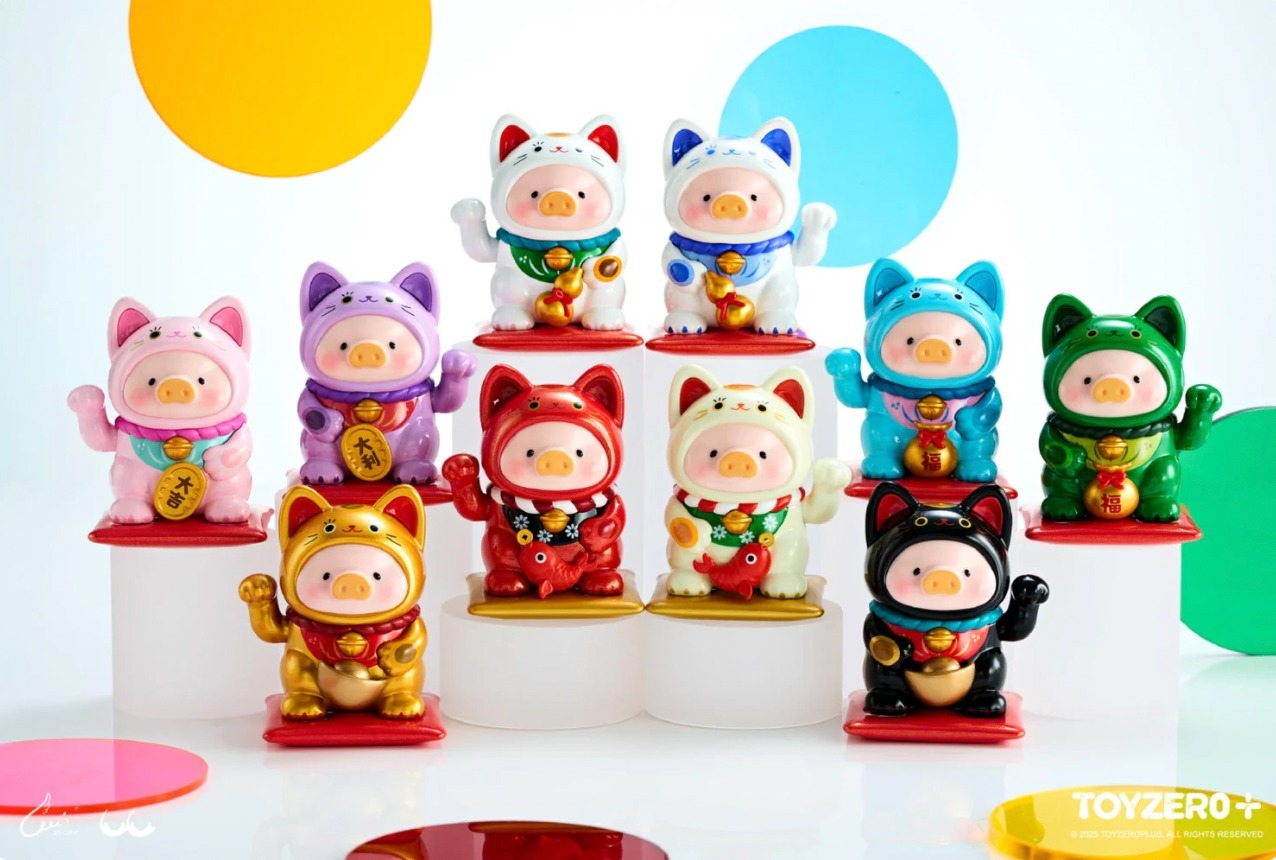 WhatsApp Image 2026-01-16 at 10.13.35 PM (1)