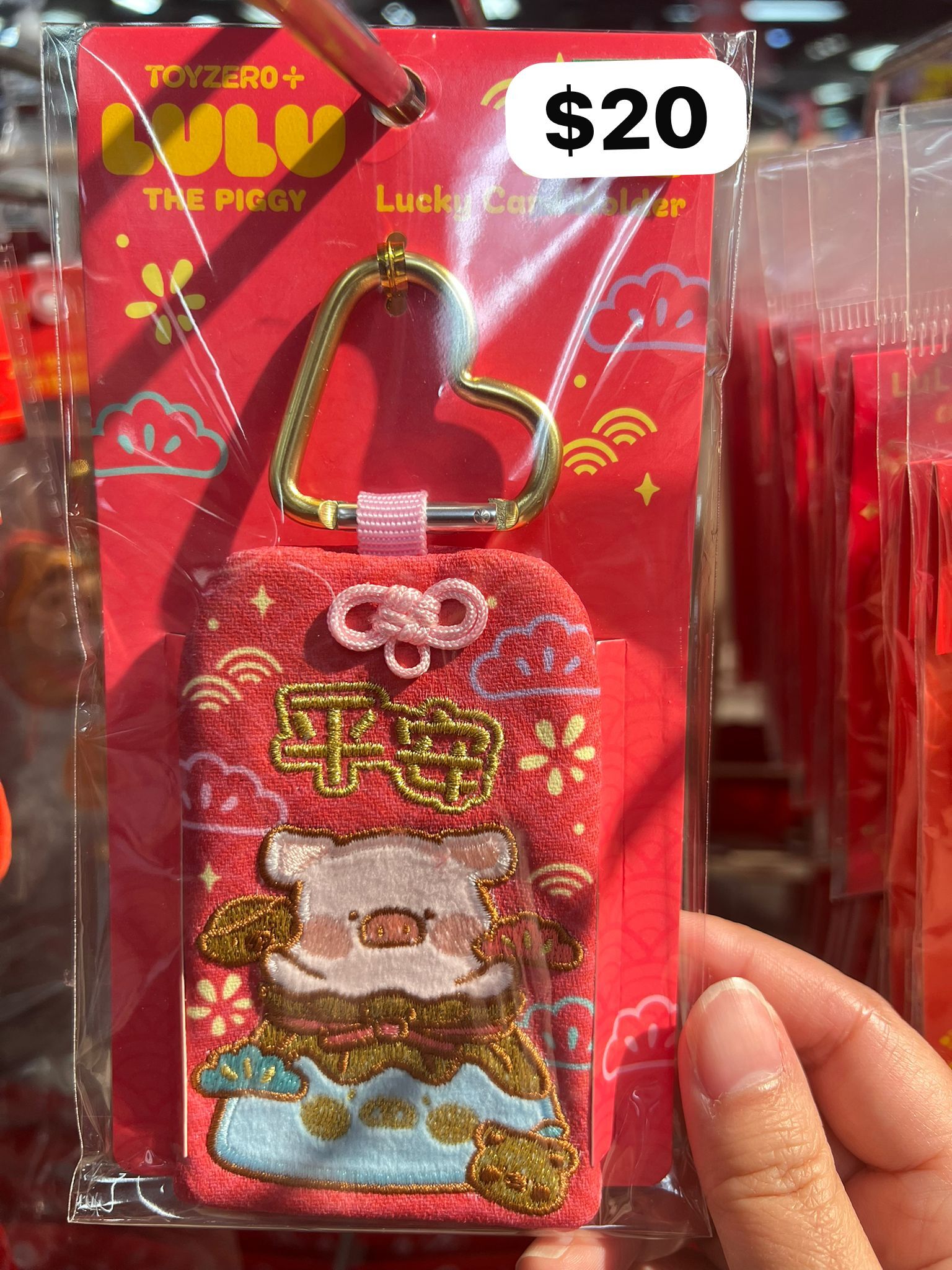 image_70D15B6C-5924-408F-8A15-0DB8BF2F80F2_1768971609