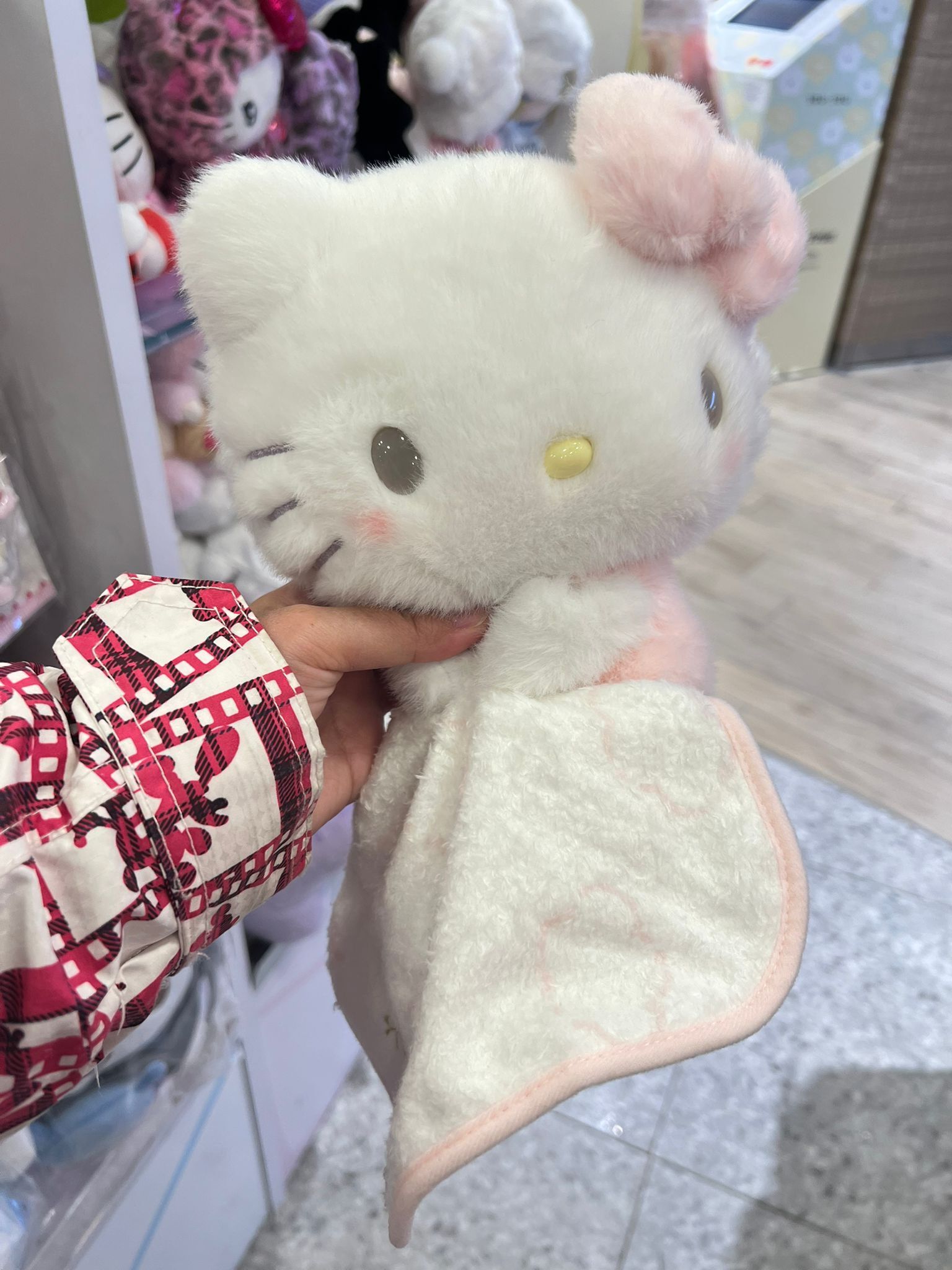 WhatsApp Image 2026-01-23 at 3.44.15 PM