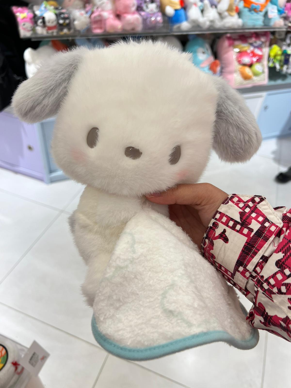 WhatsApp Image 2026-01-22 at 4.42.18 PM