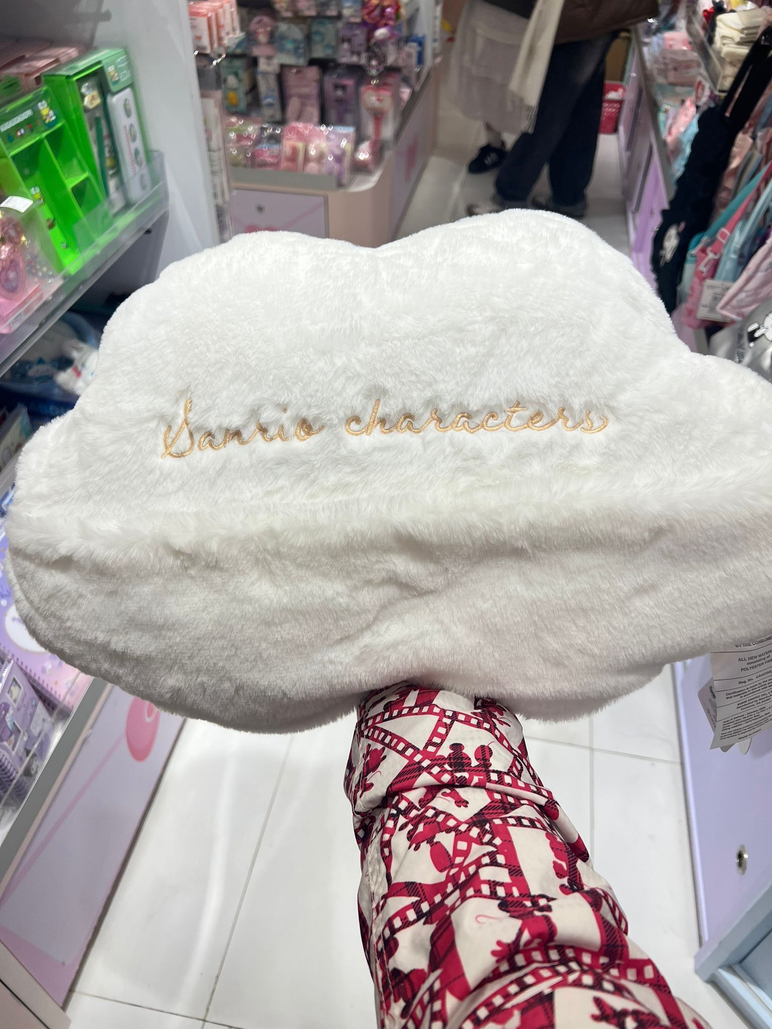 WhatsApp Image 2026-01-22 at 5.16.16 PM