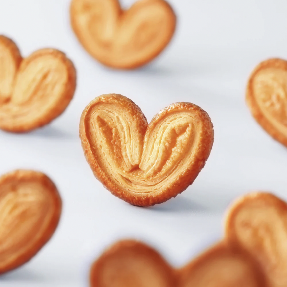 Screenshot 2026-01-27 at 4.29.17 PM