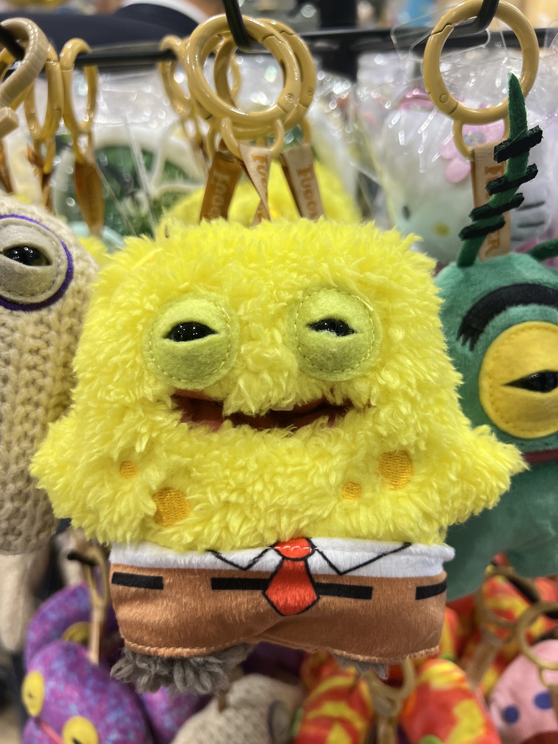 image_40386F60-140B-4936-AAFD-699B8F7FDFE1_1771038368