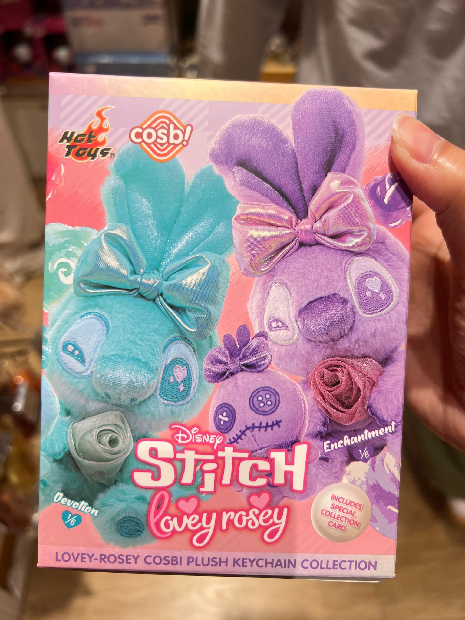 WhatsApp Image 2026-02-16 at 5.11.19 PM