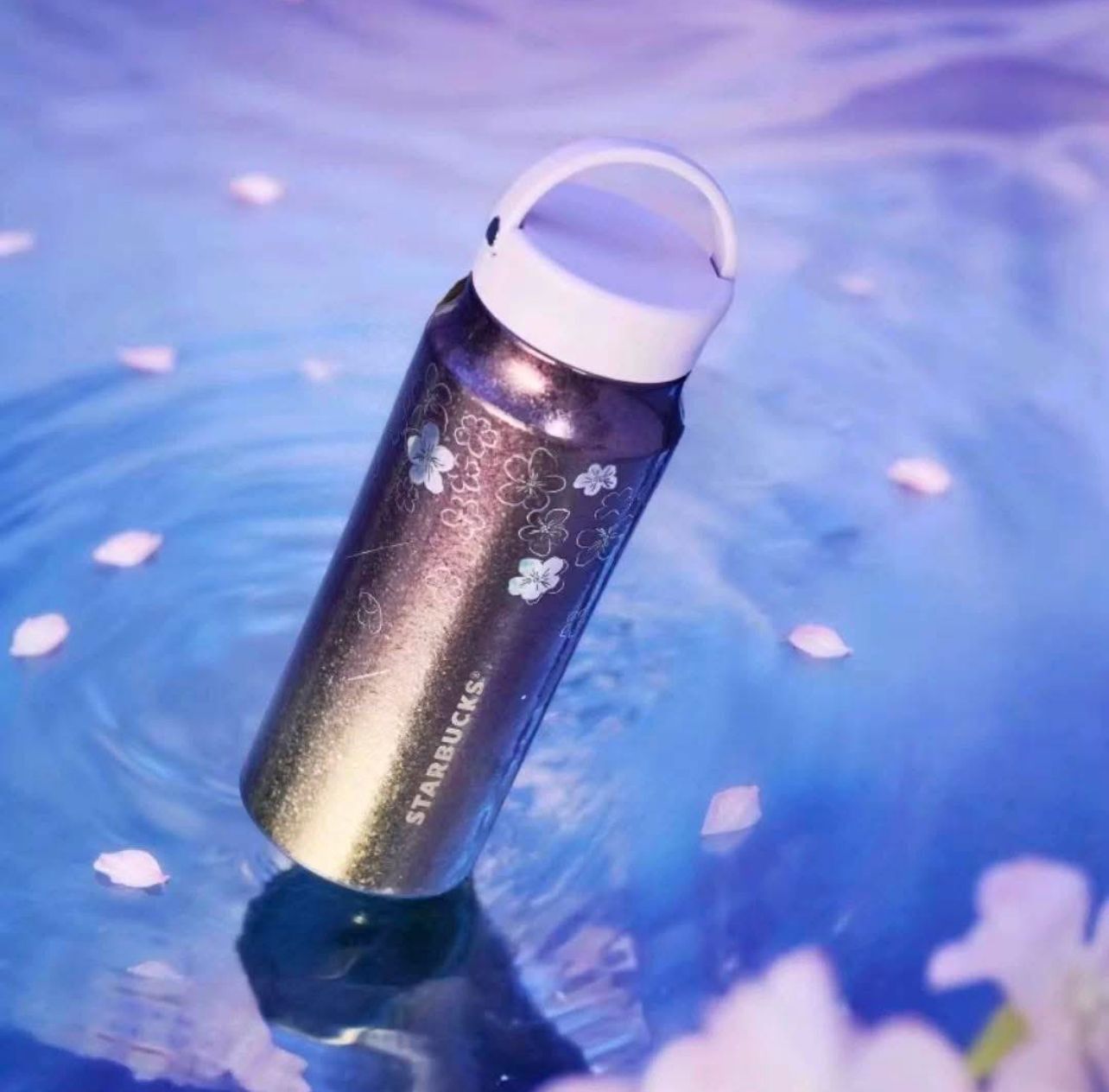 WhatsApp Image 2026-02-27 at 11.24.12 PM