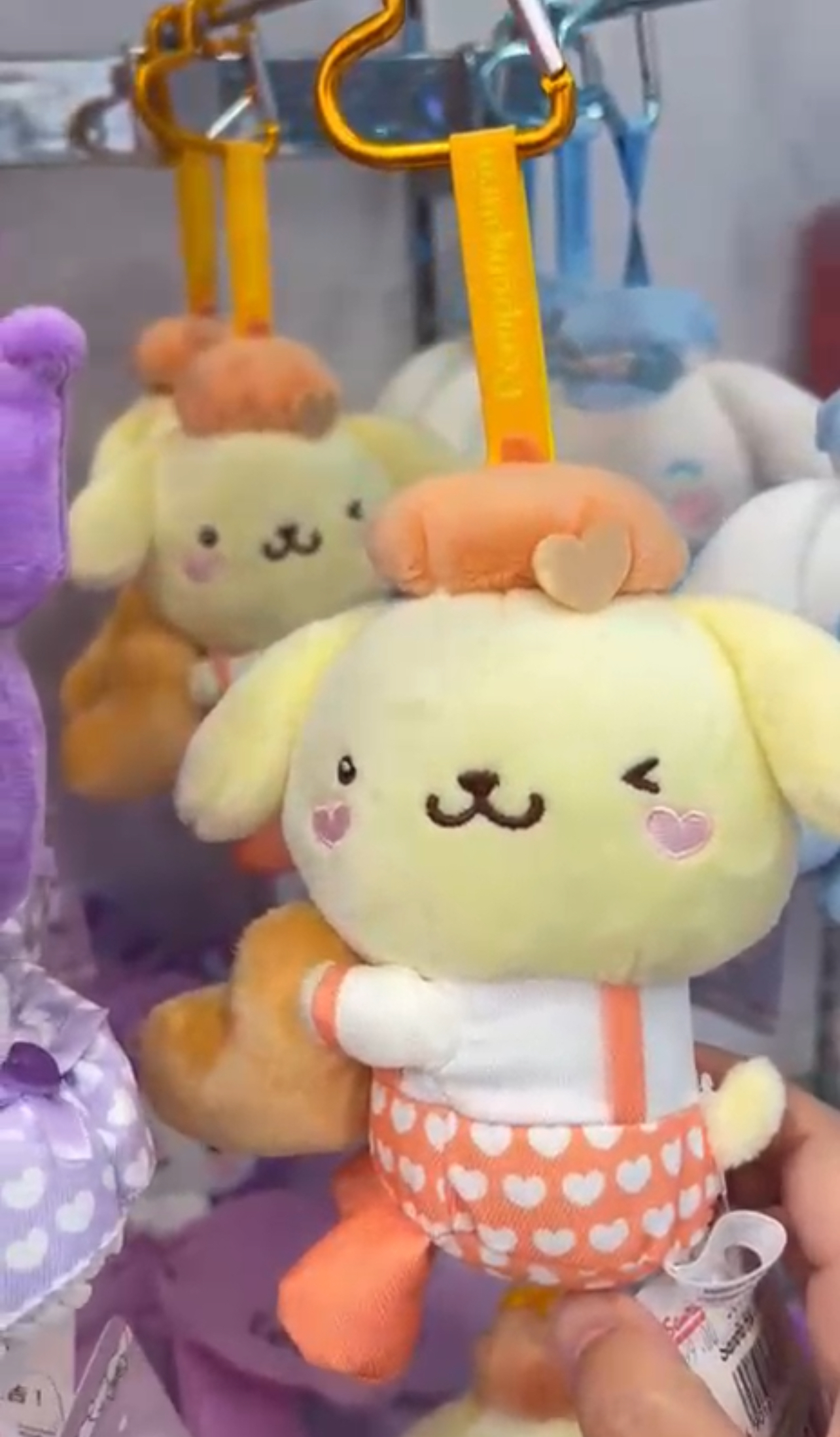 image_50856861-7345-488C-A16F-D1BC845C9CFC_1772273355