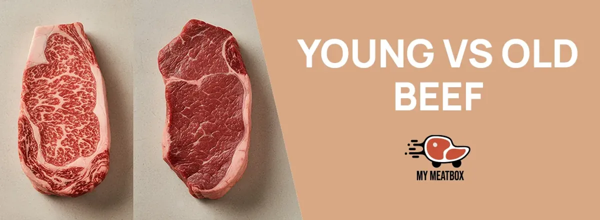 Young (“Prime”) vs Older Beef: Colour, Tenderness, Marbling & Cooking Guide | My Meatbox