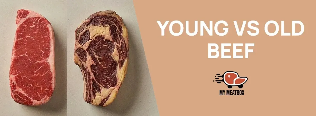 Young (“Prime”) vs Older Beef: Colour, Tenderness, Marbling & Cooking Guide | My MeatBox