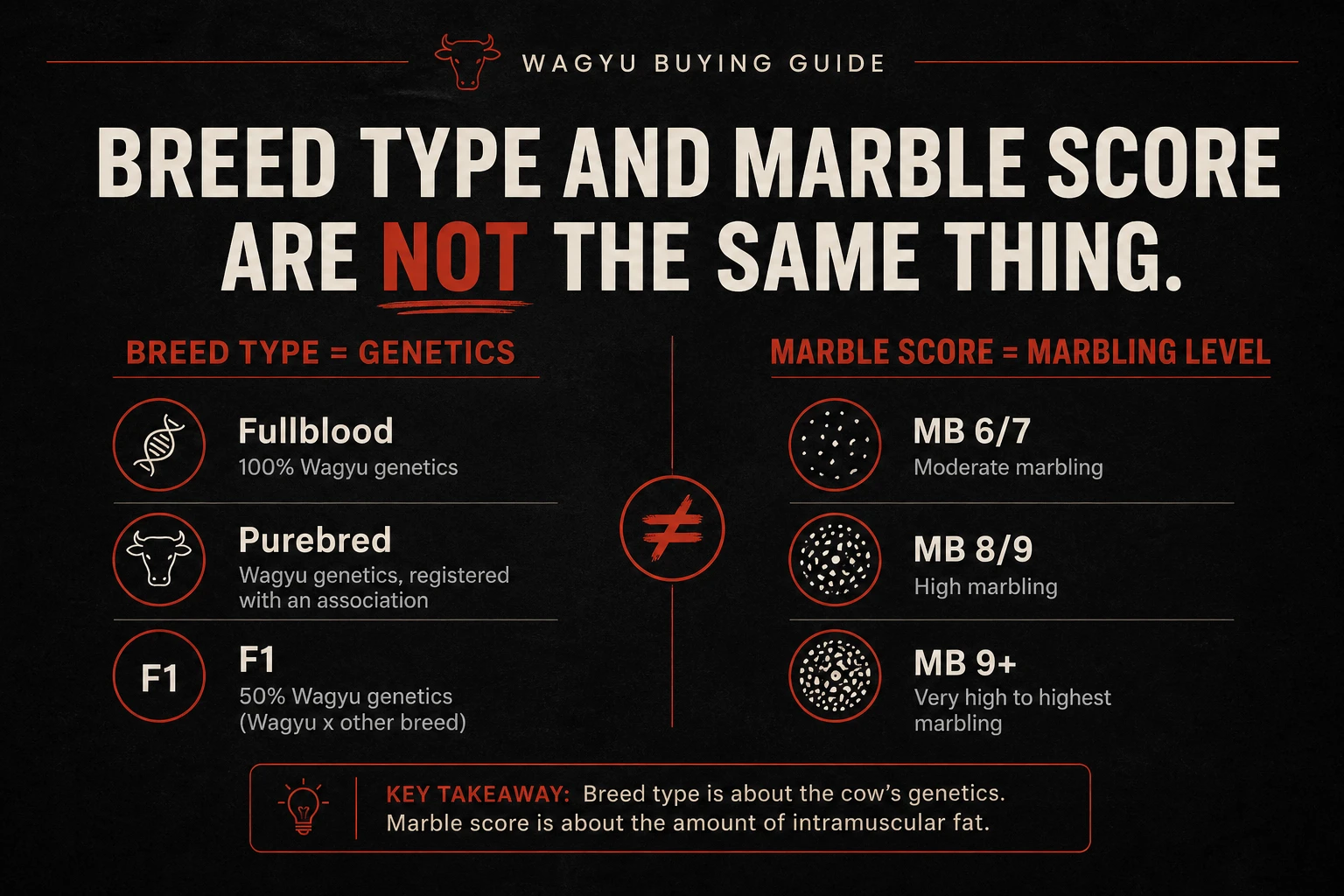 Marble King Australian Fullblood Wagyu ribeye steak available in MB 6/7 and MB 9+