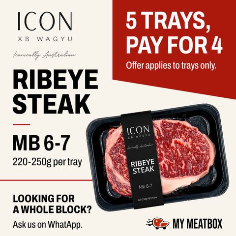 IconXBWAgyu_offer_800x800