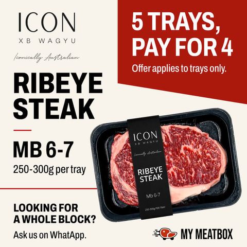 IconXBWAgyu_MB67-800x800