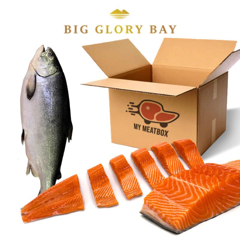 Big-Glory-Bay-King-Salmon-800x800-optimized