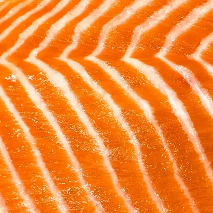 Big-Glory-Bay-King-Salmon-800x800-2-optimized